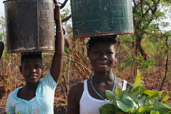 Water Carriers.  I calculate about 40 lbs or more