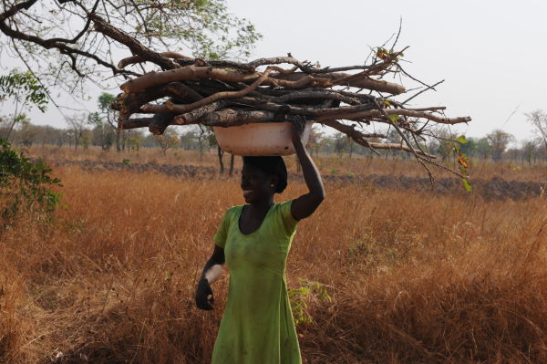 Firewood for cooking