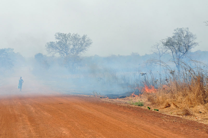 In the day, kids walk to school through the smoke
