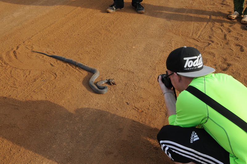 Kevin photographs a cobra that was killed in bit earlier, probably as it emerged from the burning field